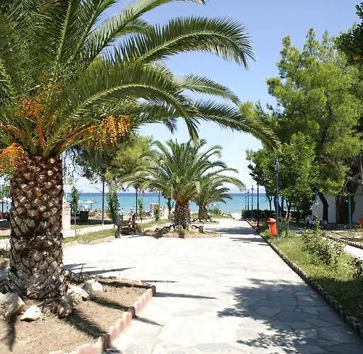 Calypso فندق